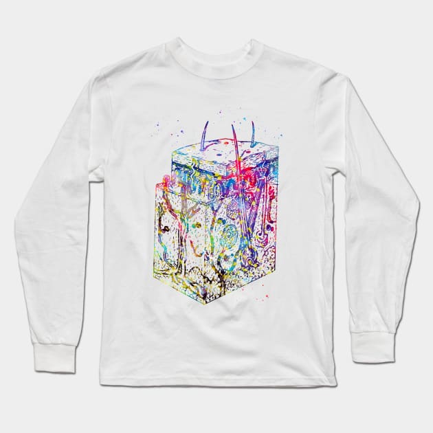 Anatomical skin layers Long Sleeve T-Shirt by erzebeth